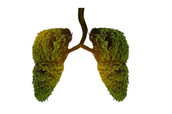 Tüdőfa Illusztrációja Környezet Orvostudomány — Stock Fotó