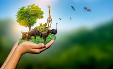 Yaban Hayatı Koruma Günü Vahşi hayvanlar eve. Veya yaban hayatı koruma