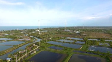 Rüzgar türbinleri, elektrik ve ekoloji gün batımında Tayland 'daki biyoenerji alanında.