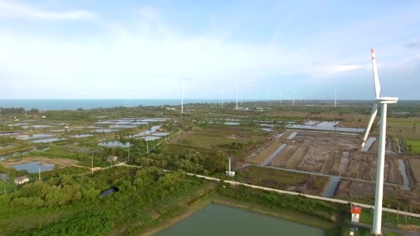 Eoliennes, électricité et écologie au coucher du soleil dans le domaine de la bioénergie en Thaïlande . — Video