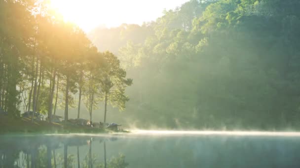 Acampando en el bosque de pinos, el sol brilla en el embalse. Al amanecer y al atardecer (Pang Oung, Mae Hong Son, Tailandia ) — Vídeos de Stock