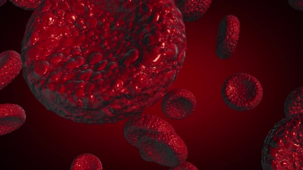 globules rouges Utiliser comme illustration médicale est une image 3D et le mot est écrit .