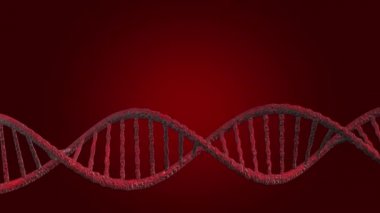 Görüntü D. N A veya (Deoxyribonucleic Acid), kırmızı zemin üzerinde 3D model