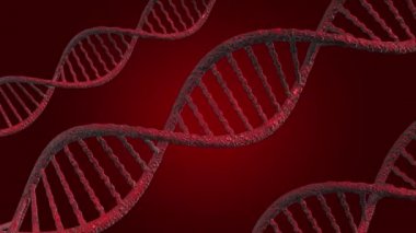 Görüntü D. N A veya (Deoxyribonucleic Acid), kırmızı zemin üzerinde 3D model