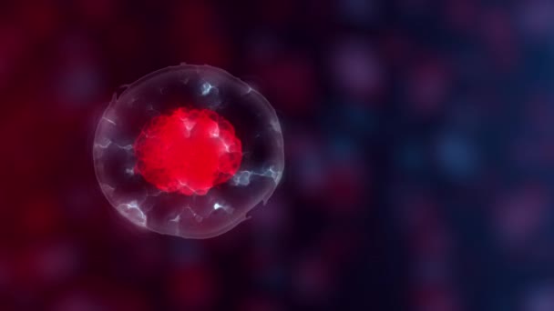 Embryonic stem cells or growth, rehabilitation and treatment of diseases, 3D illustrations — Stock Video