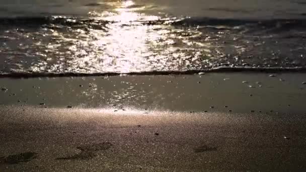 Verano, arena y vistas al mar en el día del amanecer, espacio para su decoración . — Vídeo de stock