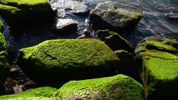 Vagues de mer et côtes avec de beaux rochers — Video