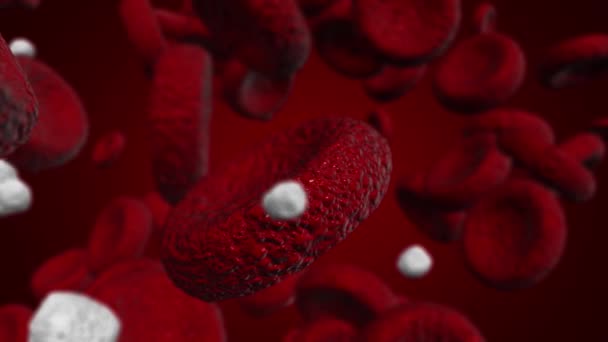 Illustration de globules blancs et de globules rouges utilisés en médecine ou en science 