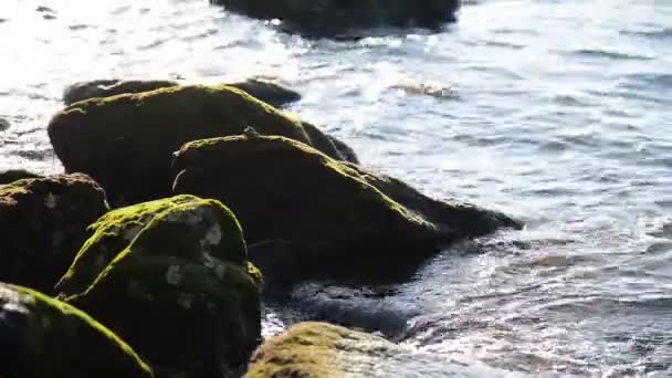 Vagues de mer et côtes avec de beaux rochers — Video