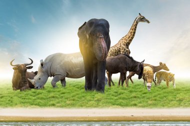 Yaban Hayatı Koruma Günü Vahşi hayvanlar eve. Veya yaban hayatı koruma