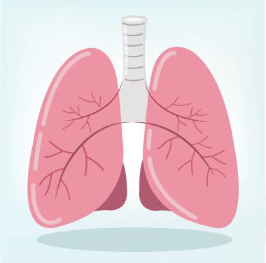 Güçlü akciğer otopsisi tıbbi konsepti, 3 boyutlu görüntü.