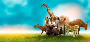 Yaban Hayatı Koruma Günü Vahşi hayvanlar eve. Veya yaban hayatı koruma