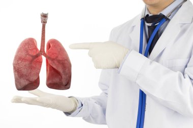 doctor check respiratory of lung , lungs disease , 3D concept  clipart