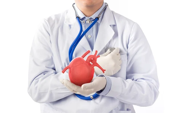 医師は心臓を聞き 白い背景で心臓の症状を聞く — ストック写真