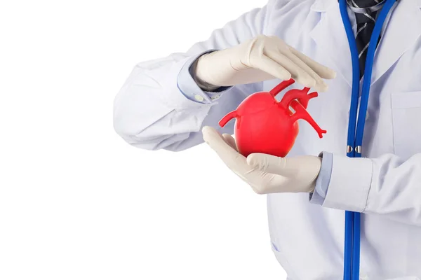 Médico Segurar Coração Parecem Prevenir Sintomas Cardiologia Fundo Branco — Fotografia de Stock