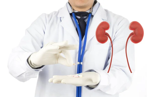 Arzt Verwenden Stethoskop Check Nierenurologie Nierenerkrankung Mit Medikamenten — Stockfoto