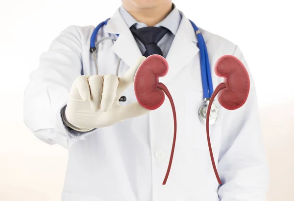 doktor kontrol 3d böbrek ürolojisi , tıp ile böbrek hastalığı