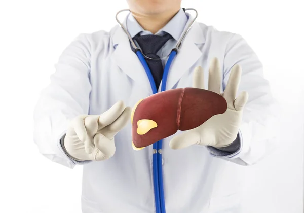 Médico Toque Graso Hígado Concepto Hígado Graso —  Fotos de Stock