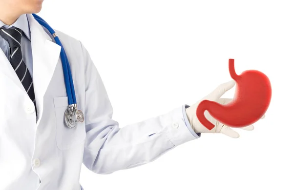 Doktor dokunuşu Org mide 3D, konsept mide ülseri 