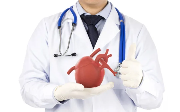 医生保持心脏假装很好的症状 很好的健康 — 图库照片