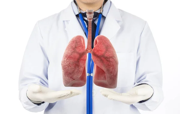 Doktor akciğer, akciğer hastalığı ve 3 boyutlu konsept solunum gösterdi. 