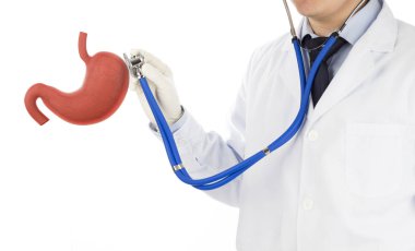 Doktor dokunuşu Org mide 3D, konsept mide ülseri