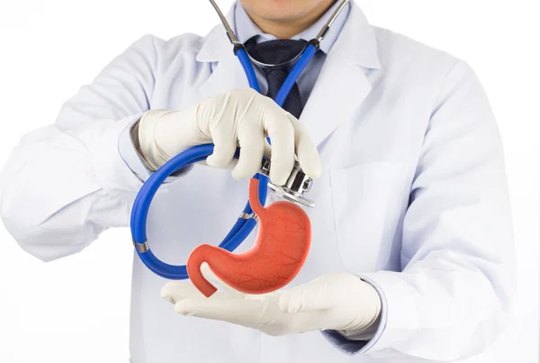 Arzt Touch Check Organ Magen Konzept Magengeschwüre — Stockfoto