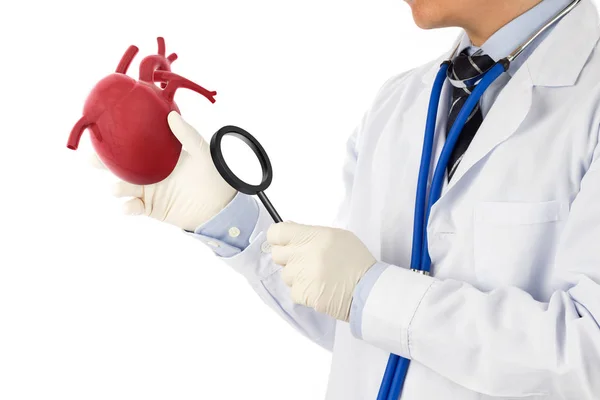 Médecin Tenir Coeur Vérifier Les Maladies Cardiaques Symptômes Cardiologiques Concept — Photo
