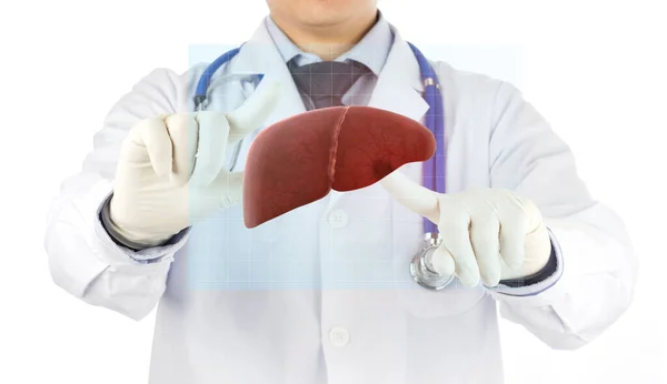 医師チェックホログラム3D肝臓 コンセプト脂肪肝 — ストック写真