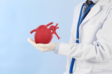 doctor hold heart check heart disease , cardiology symptoms , 3D concept clipart