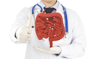 Doktor, 3D bağırsak gösterisi iyi gidiyor, bağırsak hastalığı var.