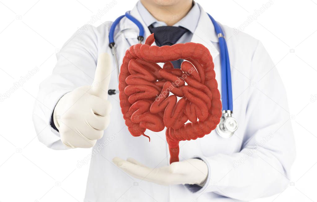doctor hold 3D intestine show fared well , bowel disease