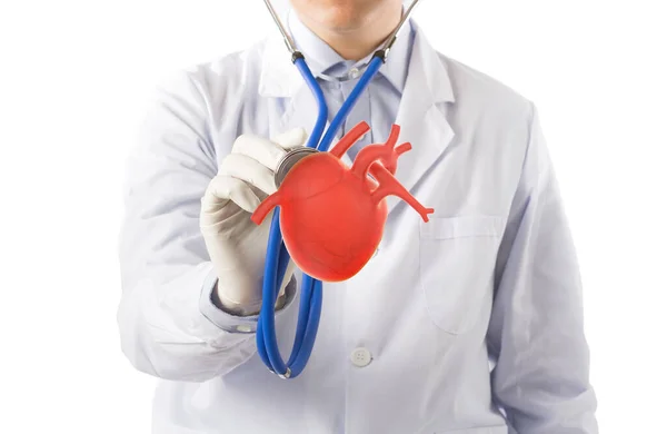 医生抱着心听心 心脏病学症状在白色背景 — 图库照片