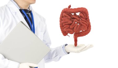 Doktor Dokunmatik Bağırsak İnsan bağırsağı, 3 boyutlu konsept