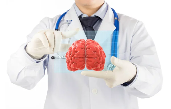 Врач Проверяет Голограмму Мозга Концептуальное Заболевание Мозга — стоковое фото