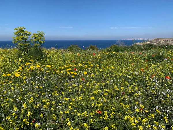 Tuffieha Bay Views. Paisajes encantadores de la isla de Malta . — Foto de Stock