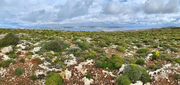 Vista panorámica de la bahía de Tuffieha en la parte norte de Malta — Foto de Stock