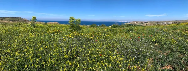 Vistas panorámicas de la bahía de Tuffieha en Malta. Primavera. Foto de alta calidad . — Foto de Stock