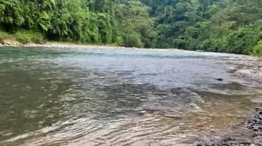 Nehir Bukit Lawang Ulusal Parkı, Sumatra, Endonezya