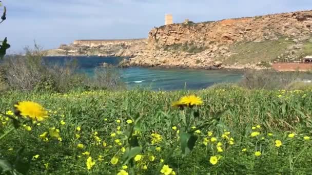Malta paisagens marinhas. Lindas paisagens da ilha de Malta . — Vídeo de Stock