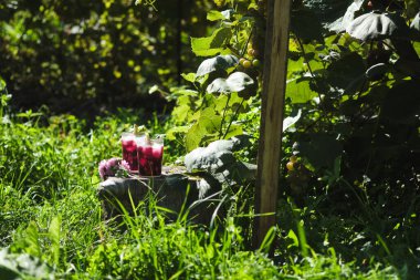 Yaz bahçesinde soğuk, ferahlatıcı bir kokteyl..