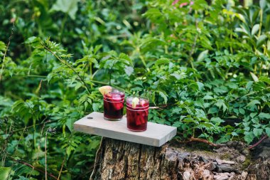 İspanyol alkollü şarap ve meyve kokteyli. Buzlu ve meyve dilimli bardakta sangria..