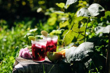 Yaz bahçesinde soğuk, ferahlatıcı bir kokteyl..