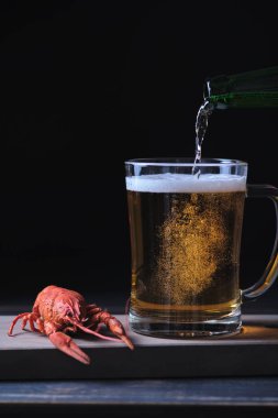Bir adam bardağa bira döker, yanında da kırmızı bir kerevit yatar. Harika bir bira..