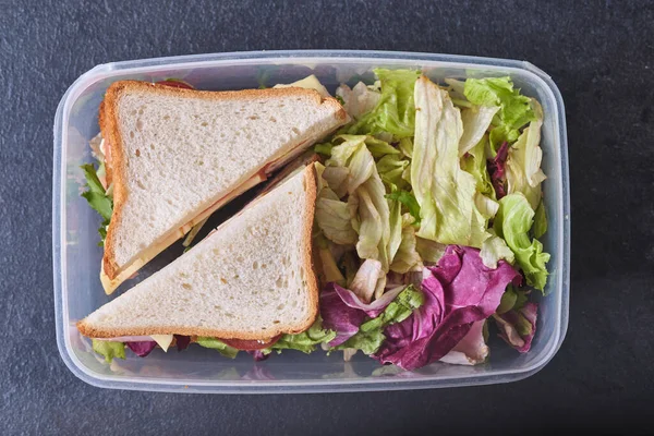 School Breakfast Two Sandwiches Salad Plastic Container Prepared Child School — Stock Photo, Image