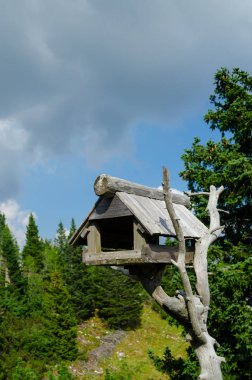 Eski ağaç dalları üzerine inşa edilmiş ahşap kuş evi.