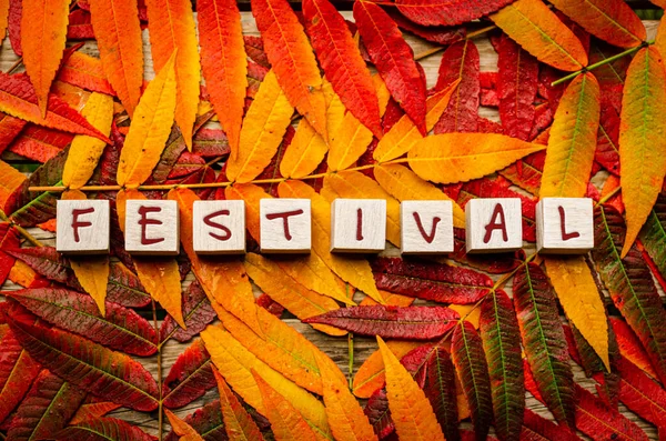 Concetto Festa Autunnale Foglie Colorate Con Testo Blocchi Legno Bianchi — Foto Stock