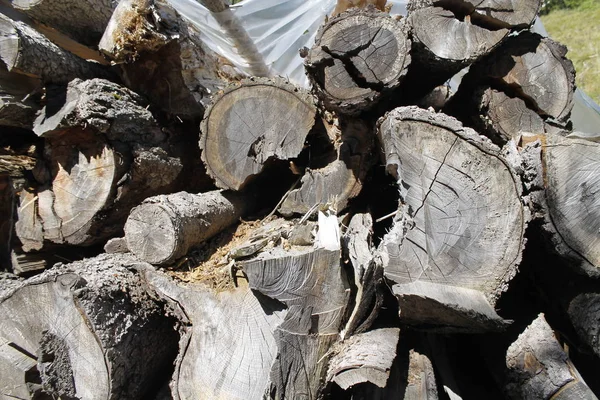 Fondo de troncos de madera oscura — Foto de Stock
