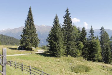 Yaz aylarında Alp dağlarında İtalya 