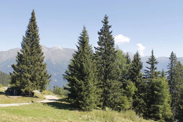 Yaz aylarında Alp dağlarında İtalya — Stok fotoğraf